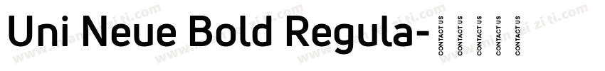 Uni Neue Bold Regula字体转换